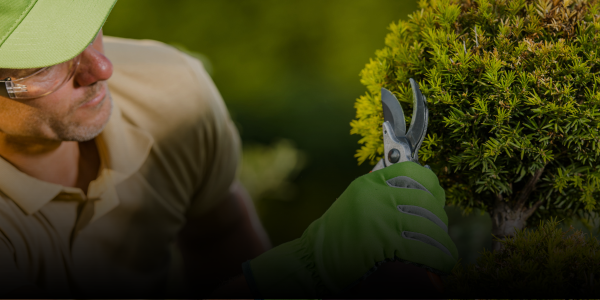 The Silent Revenue Multiplier: Customer Experience for Contractors