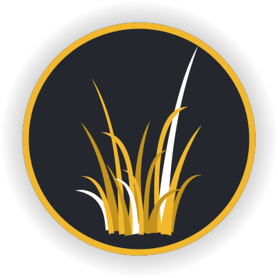 Lawn Care